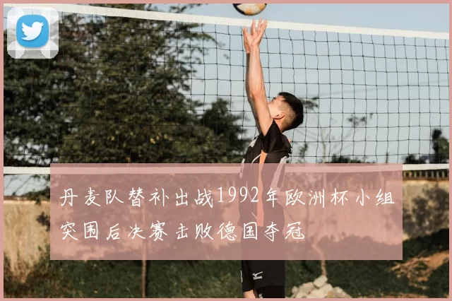 丹麦队替补出战1992年欧洲杯小组突围后决赛击败德国夺冠