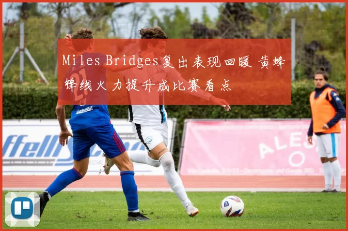 Miles Bridges复出表现回暖 黄蜂锋线火力提升成比赛看点