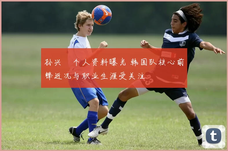 孙兴慜个人资料曝光 韩国队核心前锋近况与职业生涯受关注