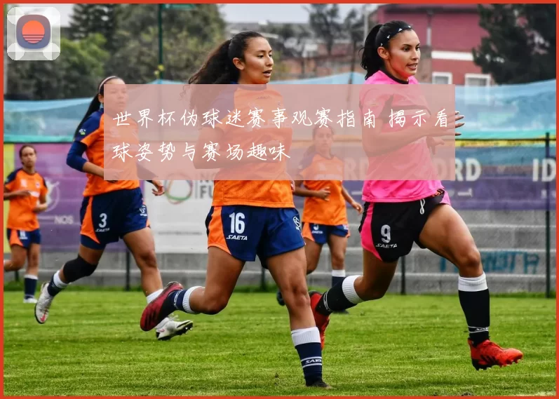 世界杯伪球迷赛事观赛指南 揭示看球姿势与赛场趣味